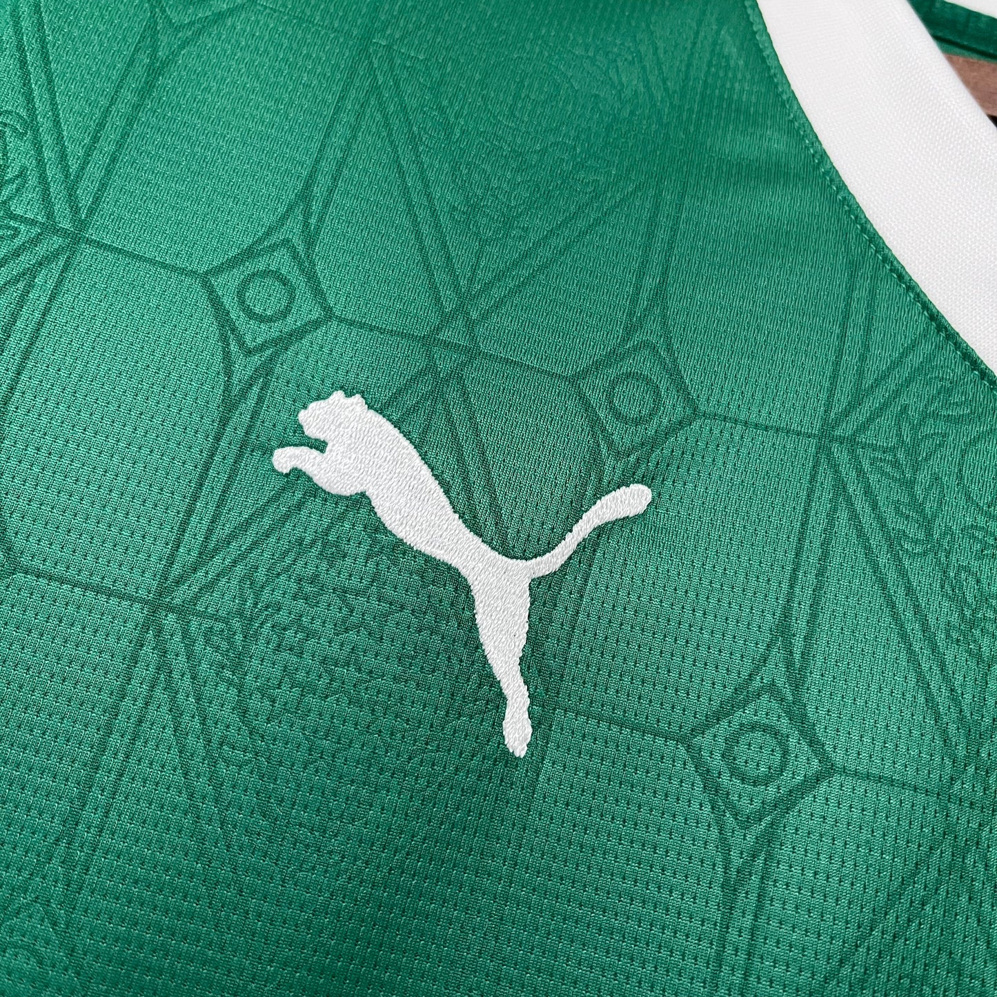 Camisa Palmeiras 1 - 2025/26