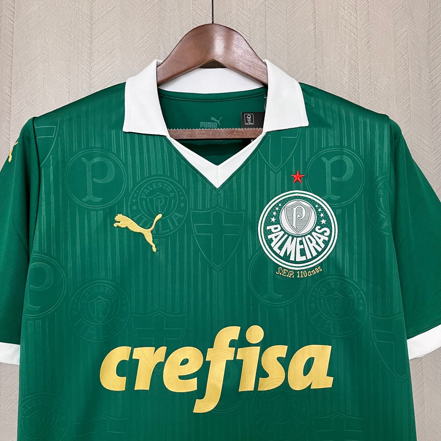 Camisa Palmeiras 1 - 2024/25