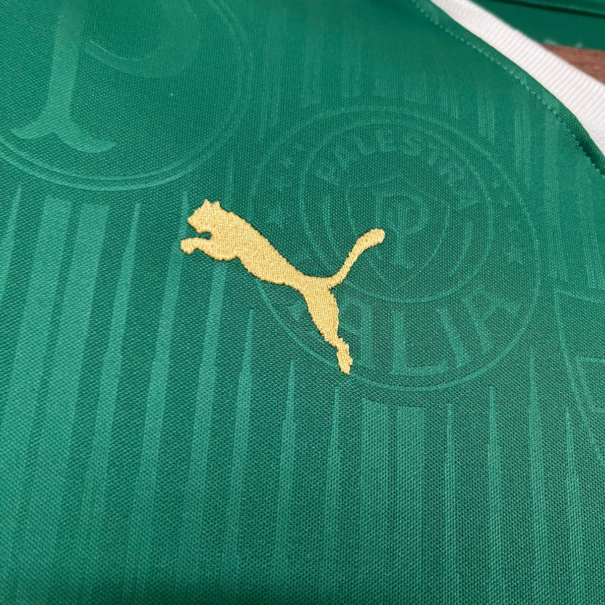 Camisa Palmeiras 1 - Feminina - 2024/25