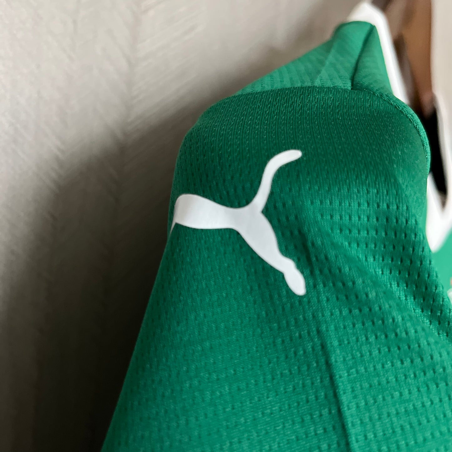 Kit Infantil Palmeiras 1 - 2025/26