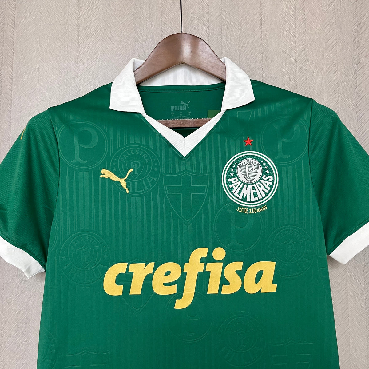 Camisa Palmeiras 1 - Feminina - 2024/25