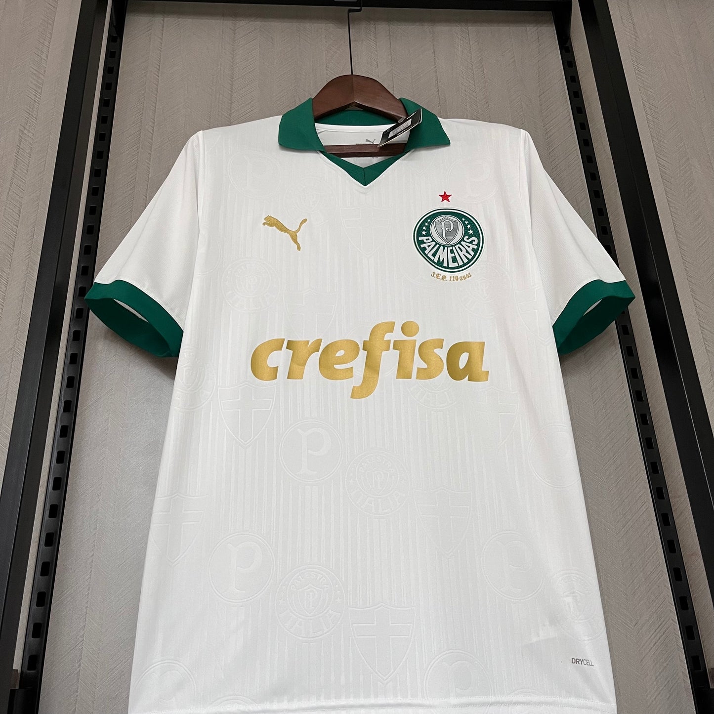 Camisa Palmeiras 2 - 2024/25