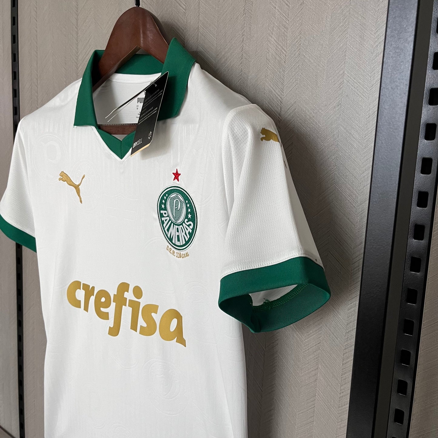 Camisa Palmeiras 2 - Feminina - 2024/25