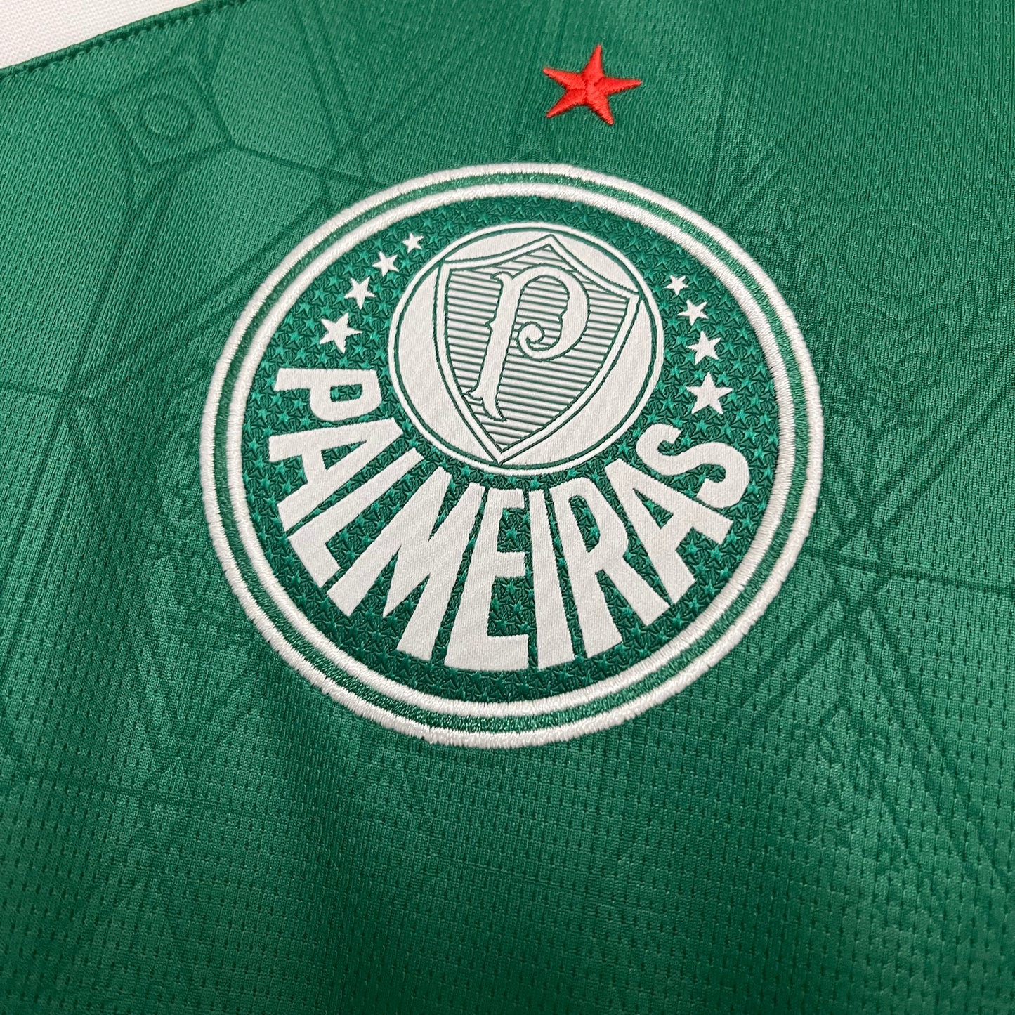 Camisa Palmeiras 1 - 2025/26