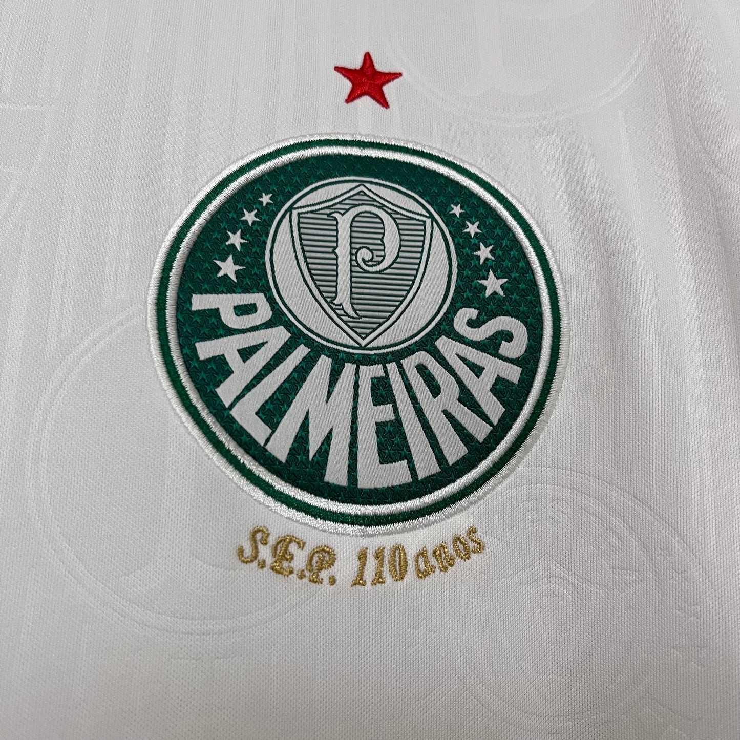 Camisa Palmeiras 2 - 2024/25