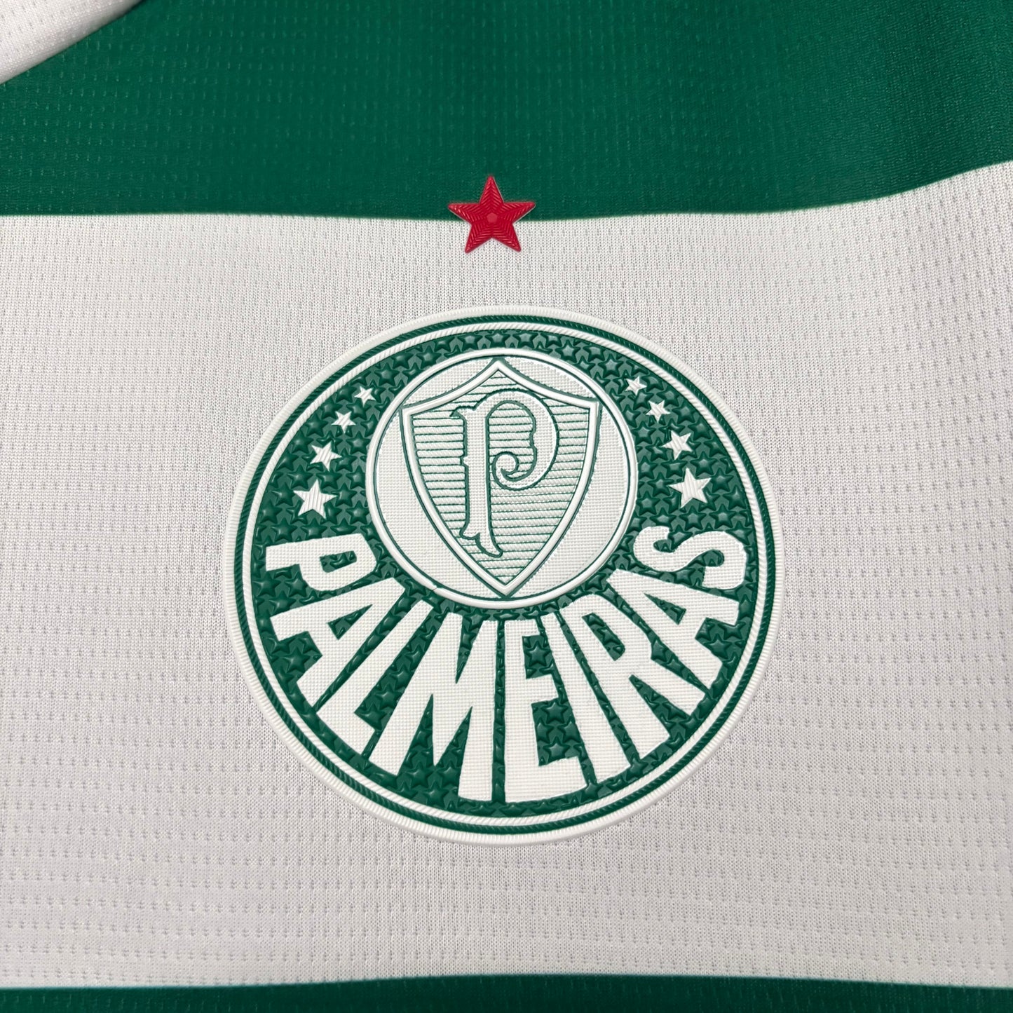 Camisa Palmeiras Especial - 2025/26