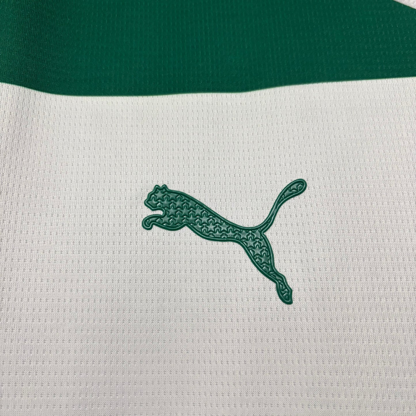 Camisa Palmeiras Especial - 2025/26