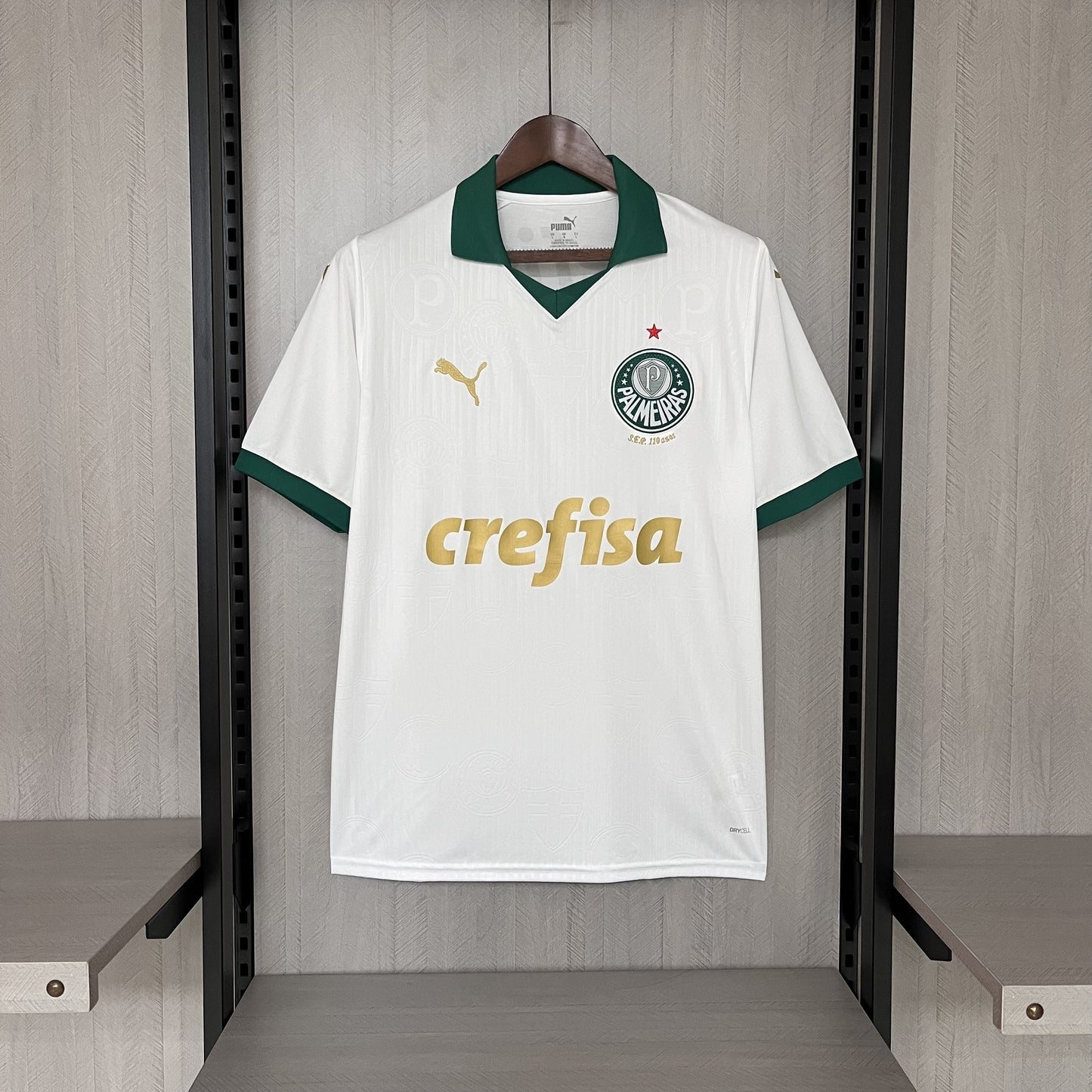 Camisa Palmeiras 2 - 2024/25