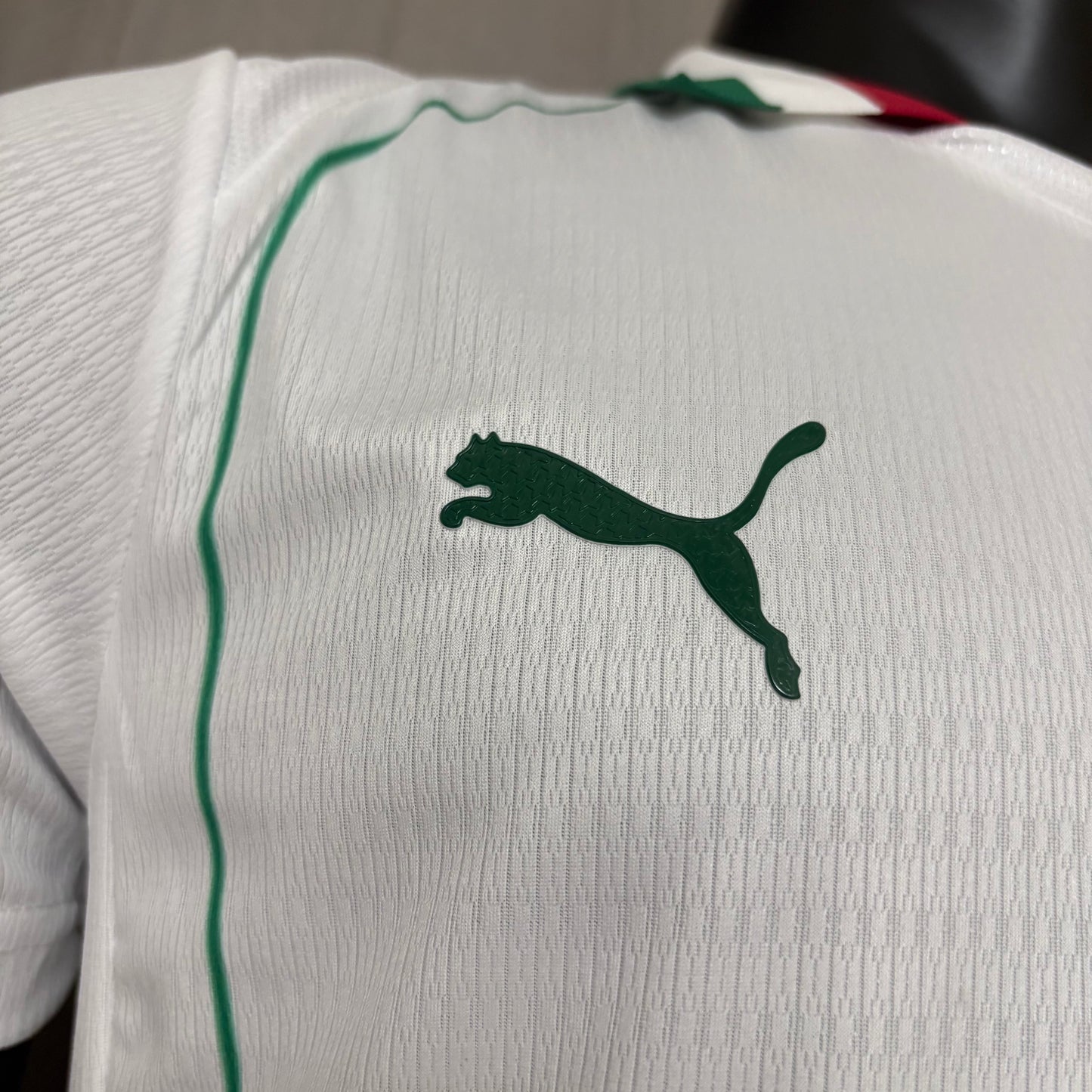 Camisa Palmeiras 2 - Modelo Jogador - 2026/27