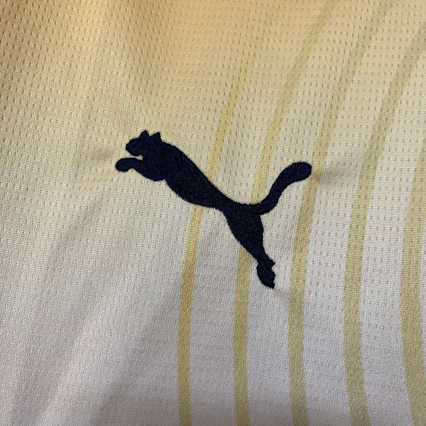 Camisa Manchester City - Especial - 2024/25