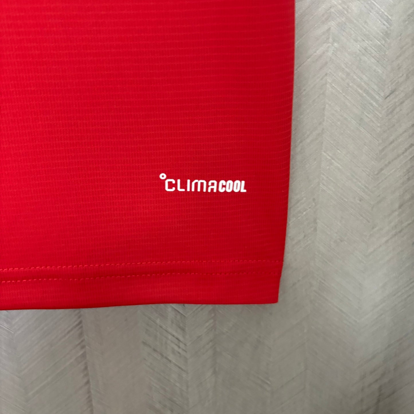 Camisa País de Gales 1 - 2026/27