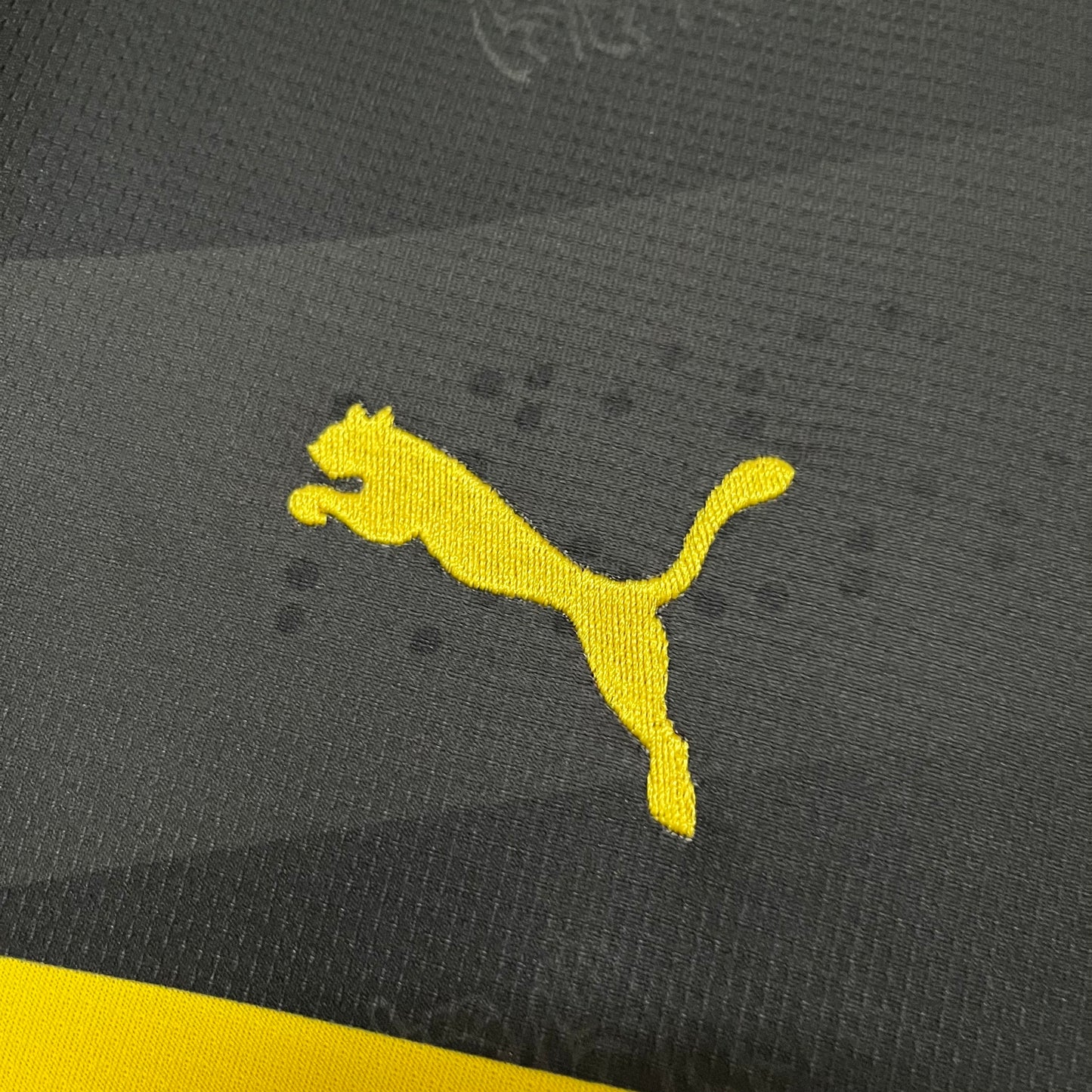 Camisa Borussia Dortmund 2 - 2024/25