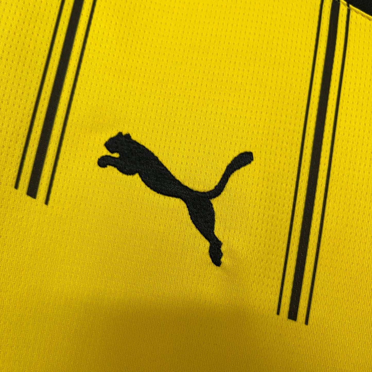 Camisa Borussia Dortmund 1 - 2024/25