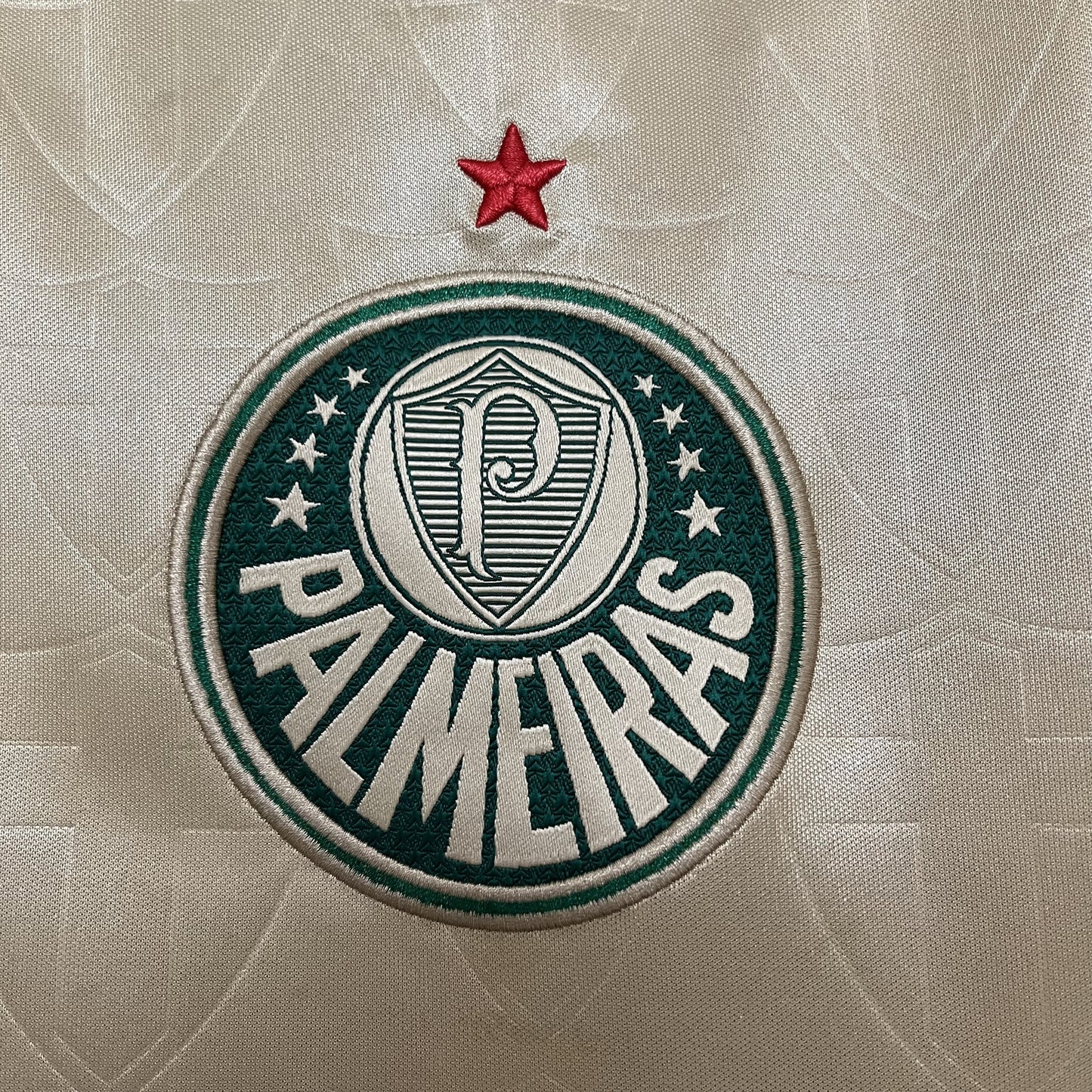 Camisa Palmeiras 3 - 2024/25