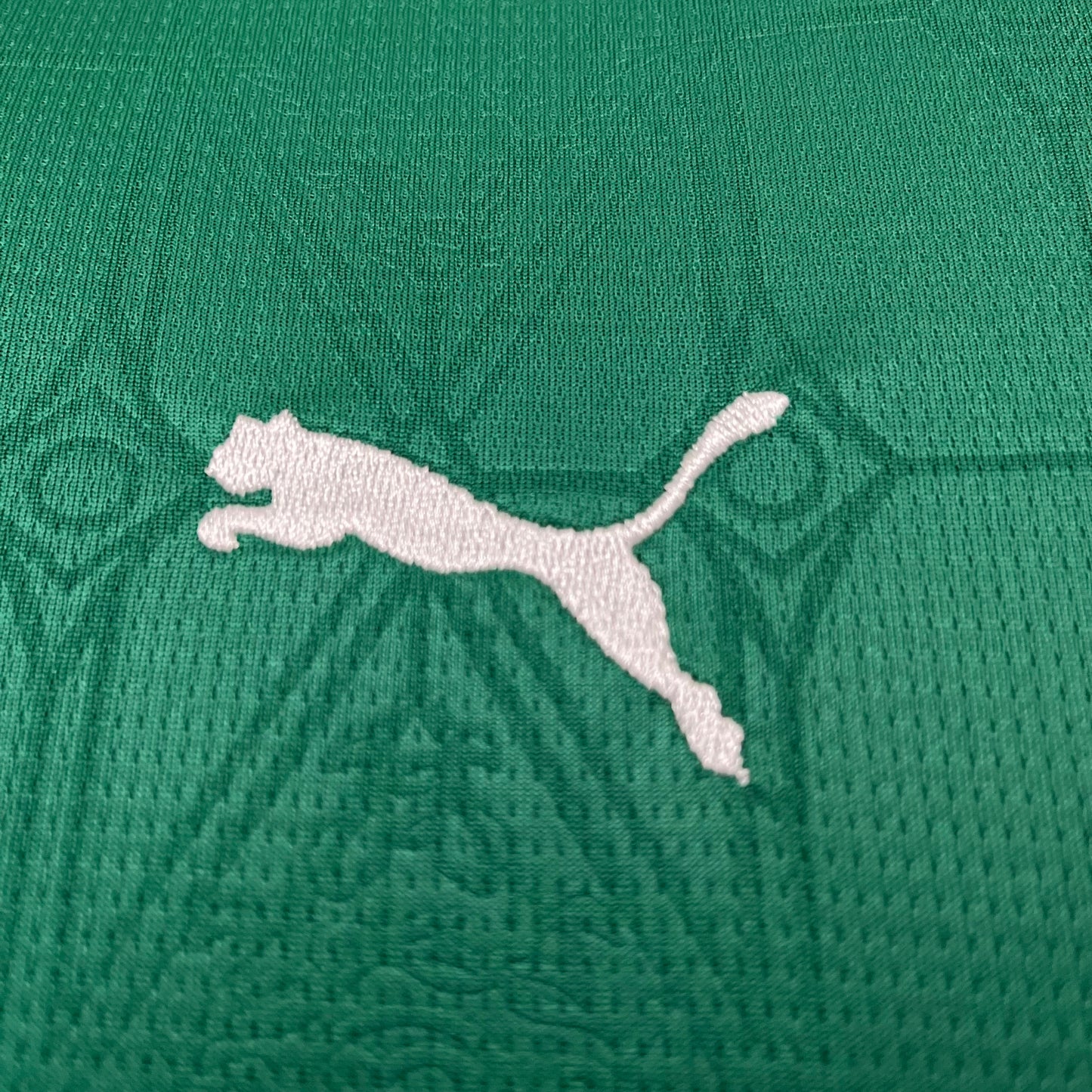 Kit Infantil Palmeiras 1 - 2025/26