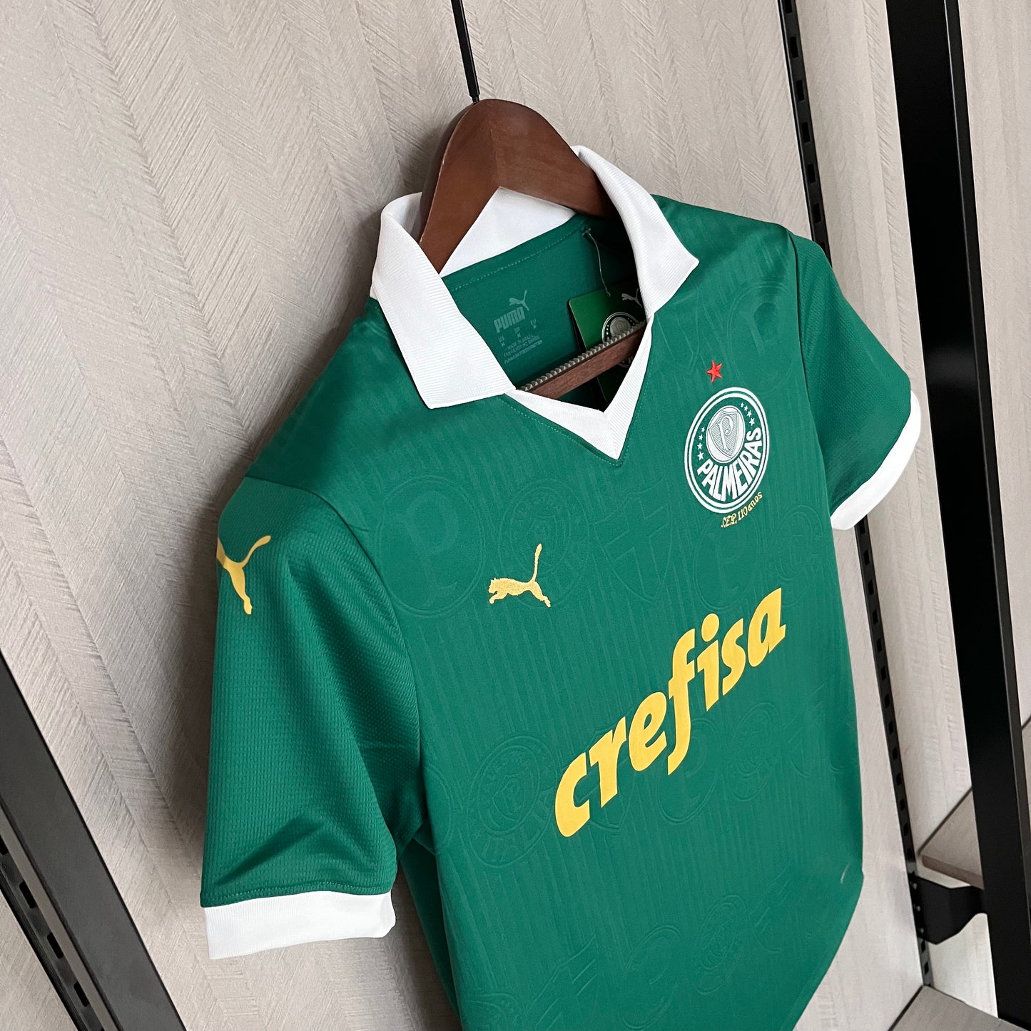 Camisa Palmeiras 1 - Feminina - 2024/25