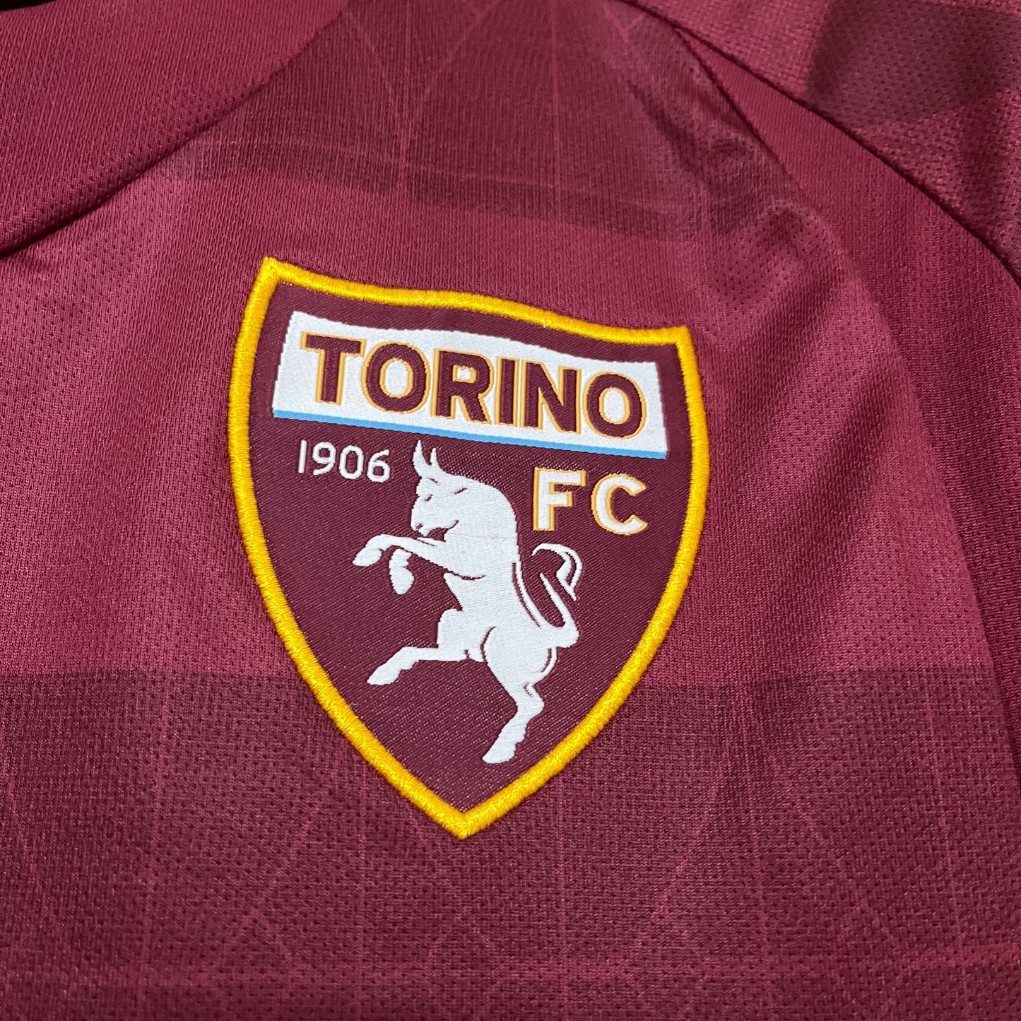 Camisa Torino 1 - 2024/25