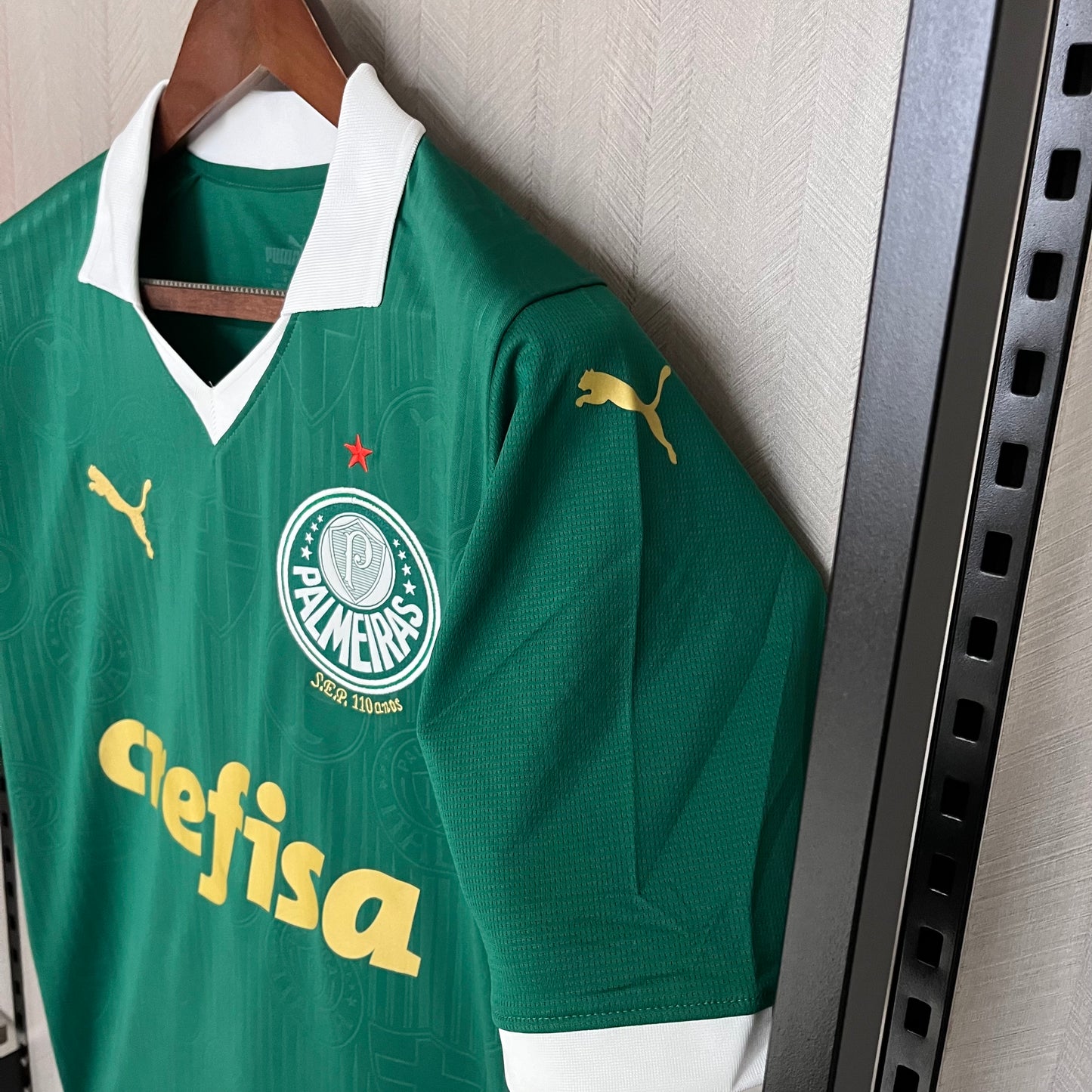Camisa Palmeiras 1 - 2024/25