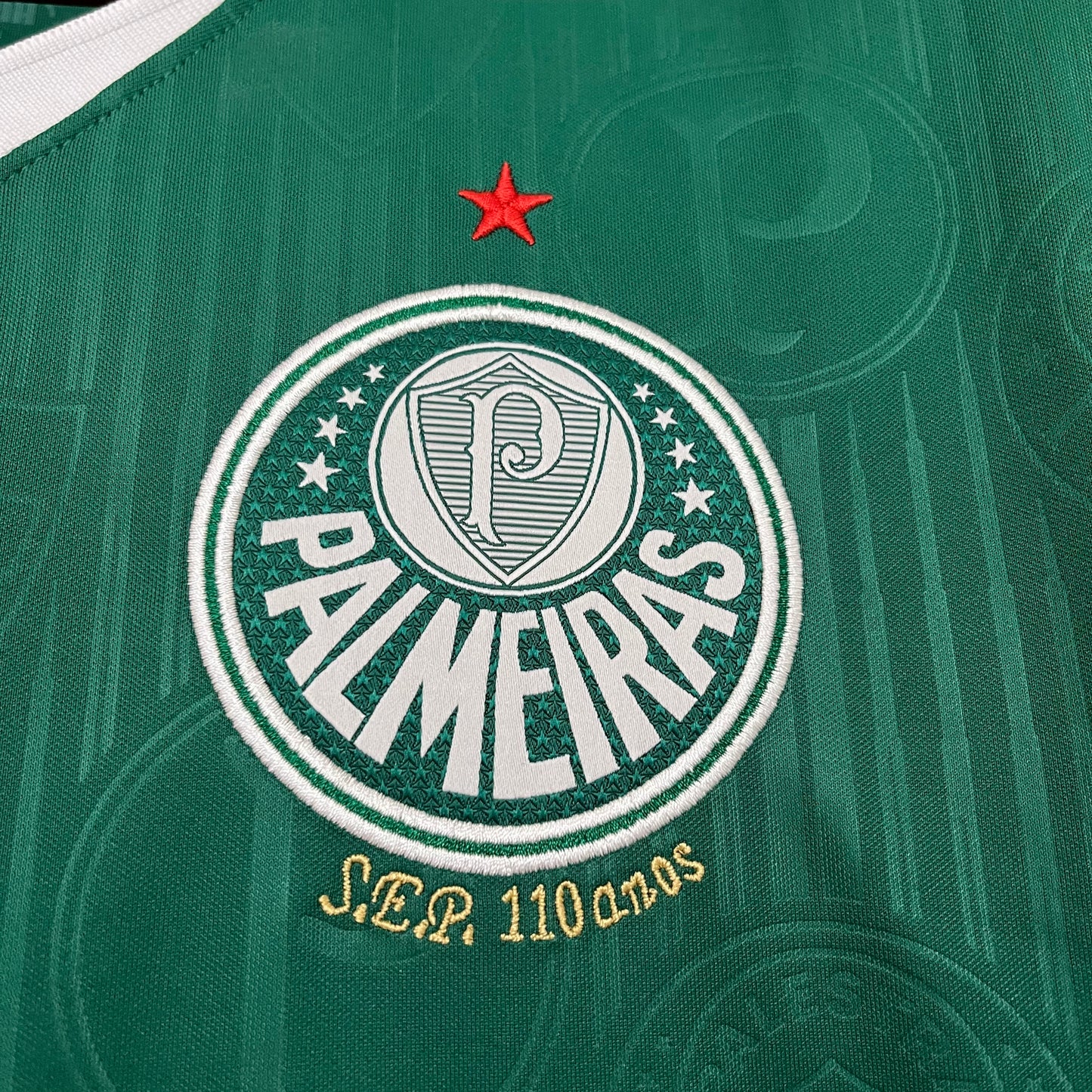 Camisa Palmeiras 1 - 2024/25