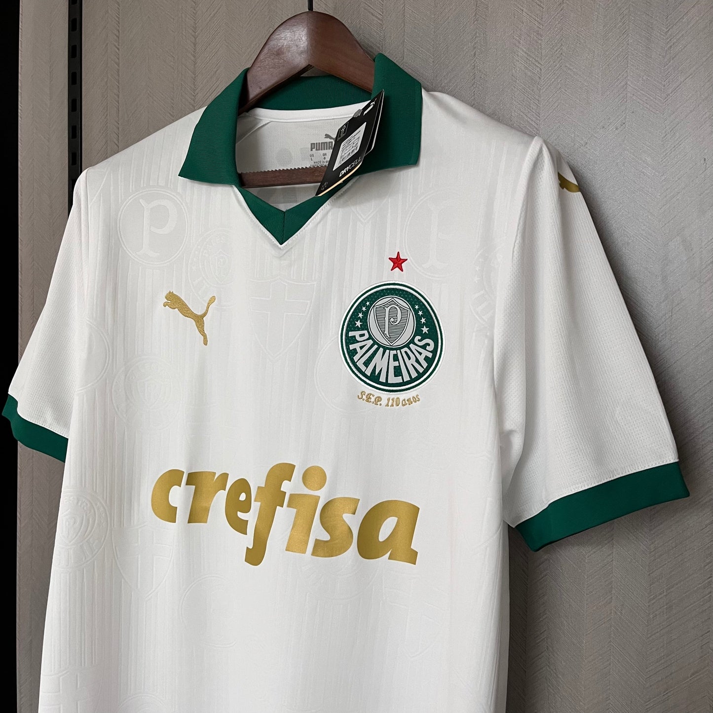 Camisa Palmeiras 2 - 2024/25