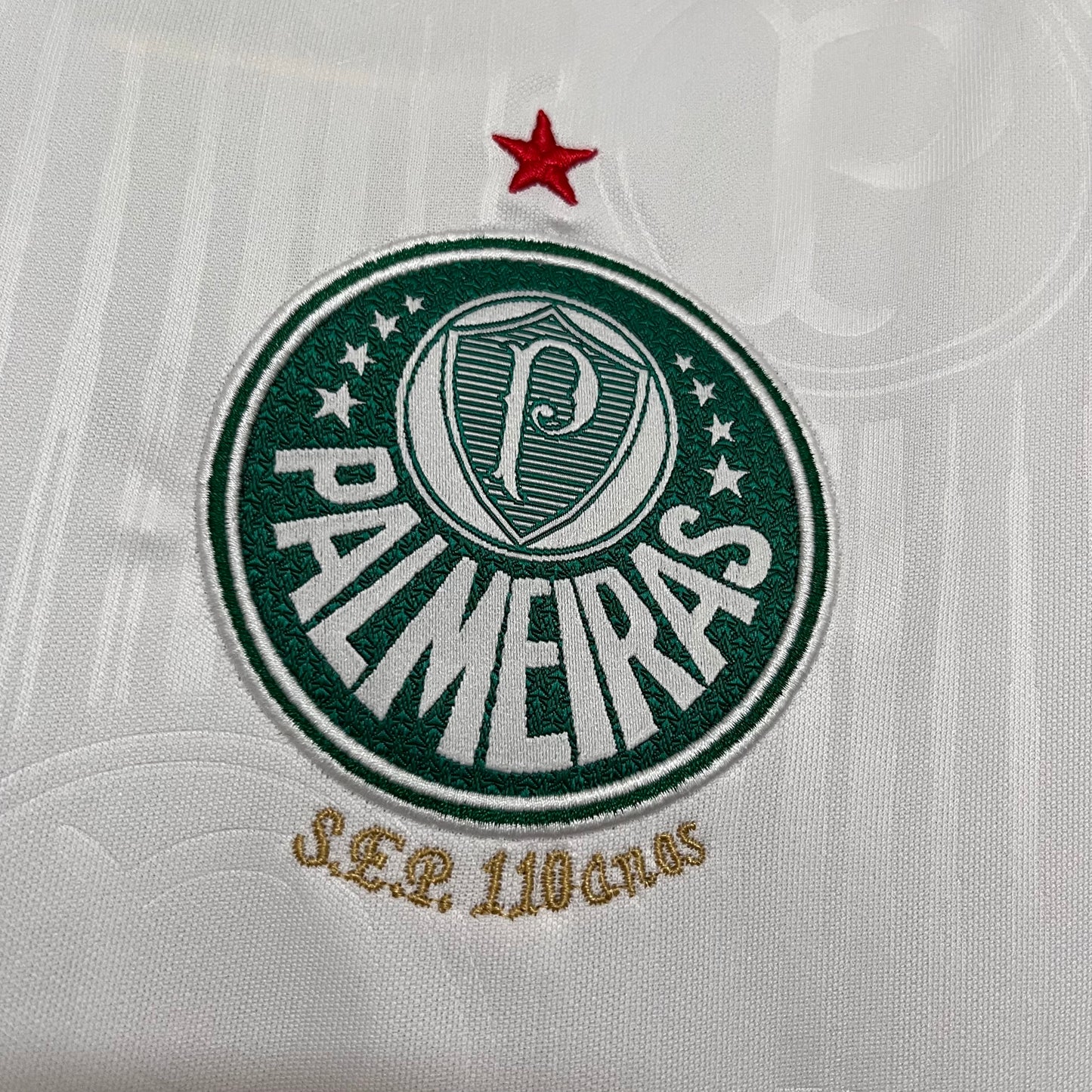 Camisa Palmeiras 2 - Feminina - 2024/25