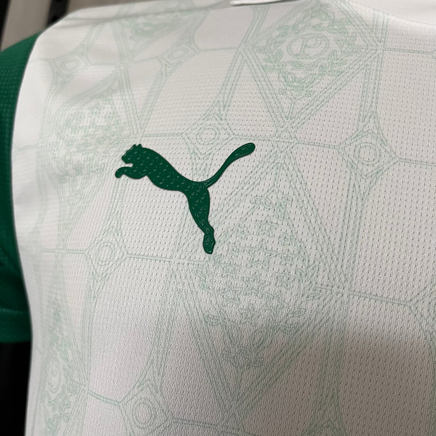 Camisa Palmeiras 2 - Modelo Jogador - 2025/26
